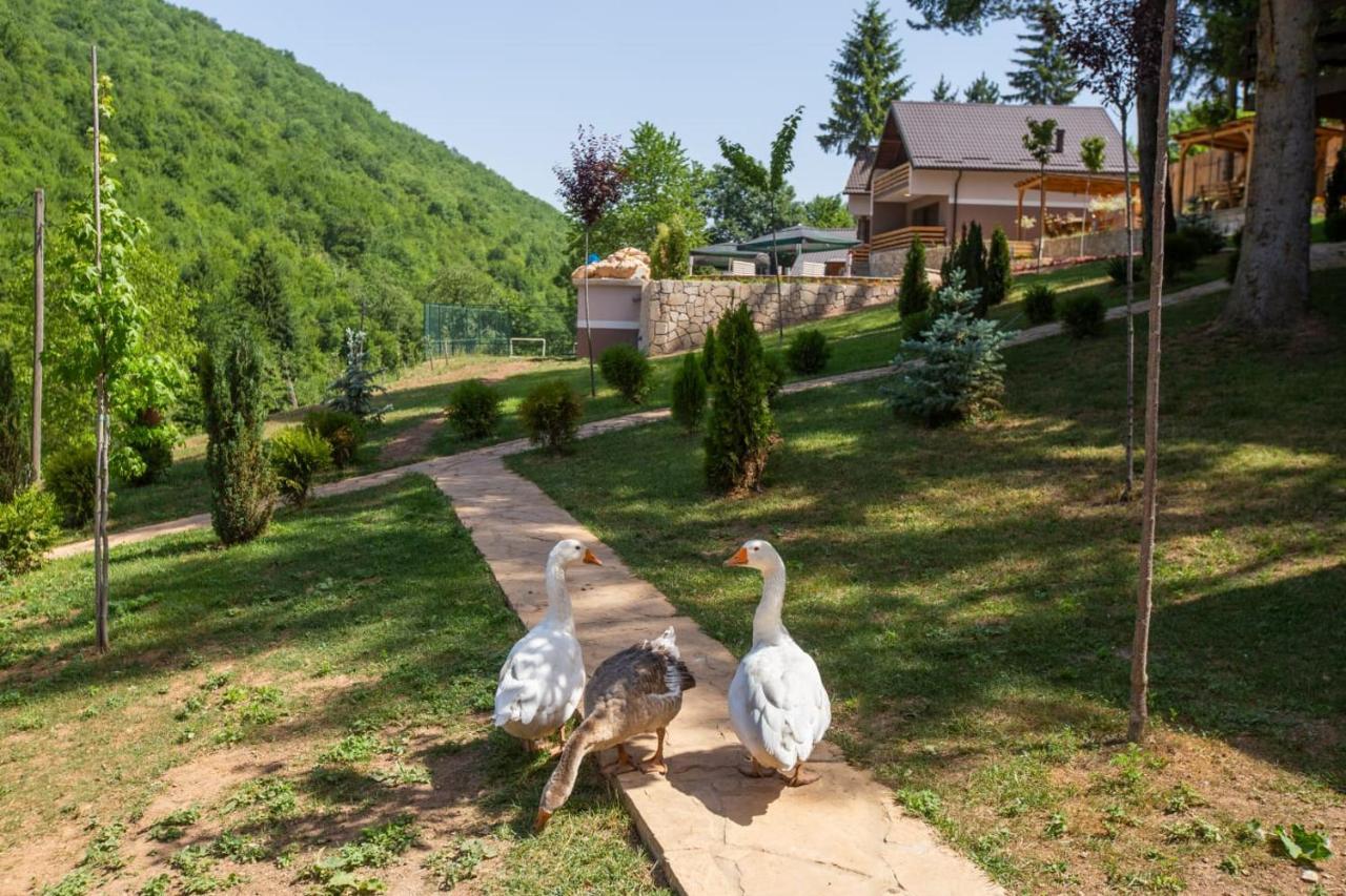 Vila Jasen - Bjelasnica SJJ Exteriér fotografie